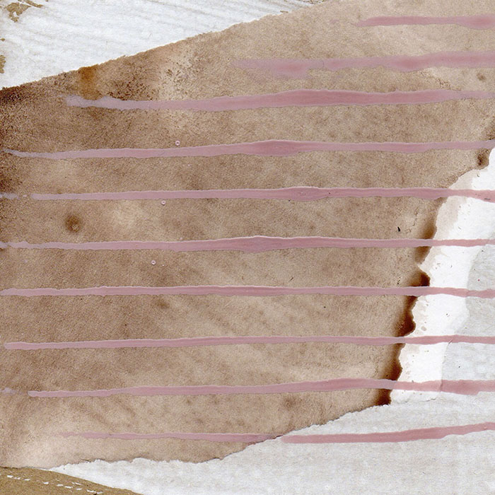 imagen 21. chapman expo